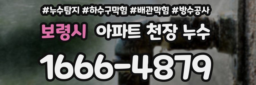 보령시 아파트 천장 누수