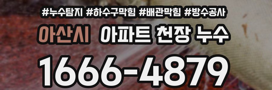 아산시 아파트 천장 누수