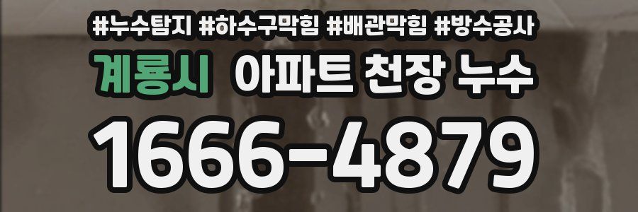 계룡시 아파트 천장 누수