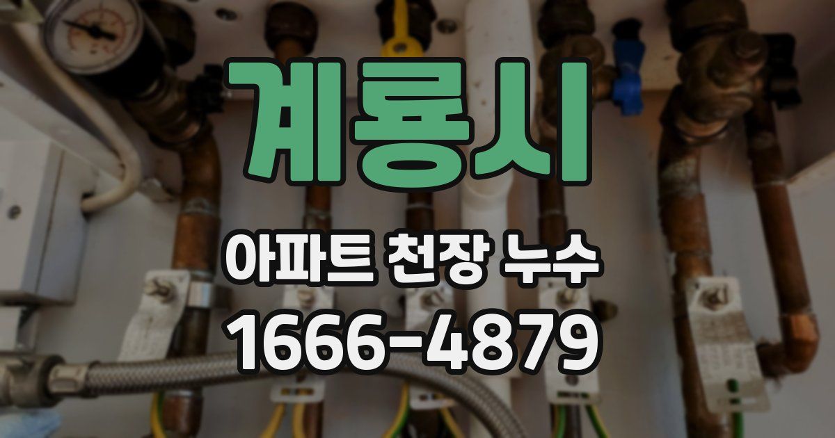 계룡시 아파트 천장 누수