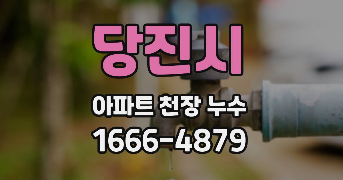 당진시 아파트 천장 누수