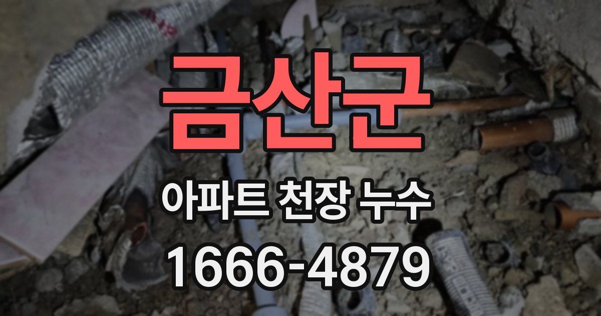 금산군 아파트 천장 누수