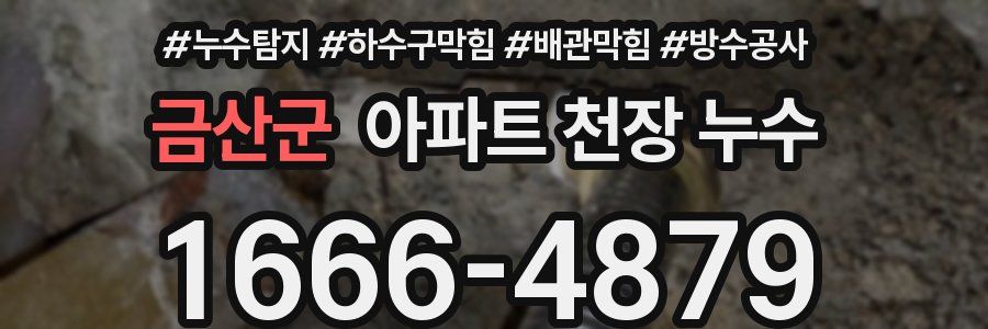 금산군 아파트 천장 누수