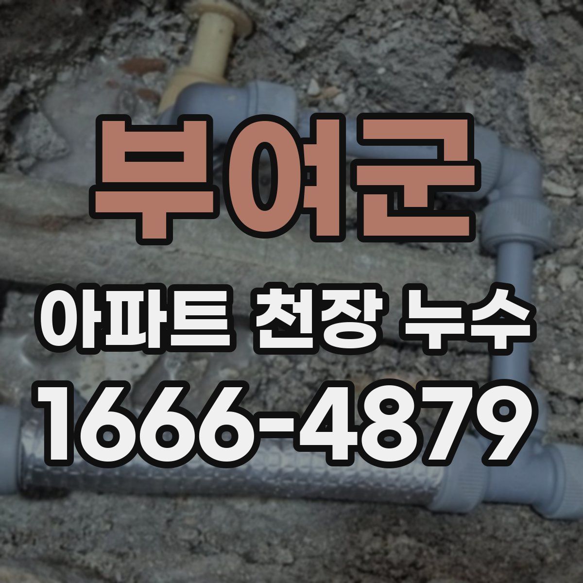 부여군 아파트 천장 누수