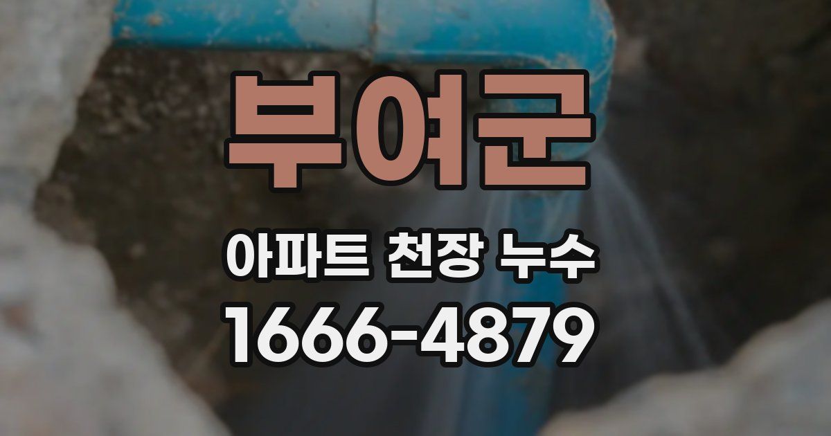 부여군 아파트 천장 누수