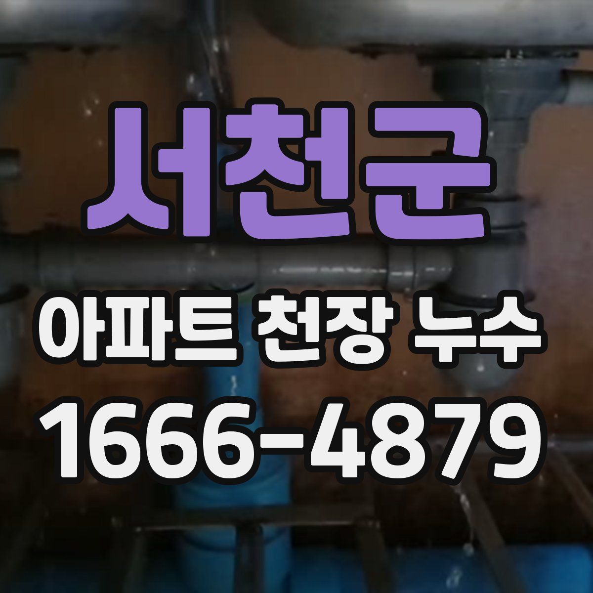 서천군 아파트 천장 누수