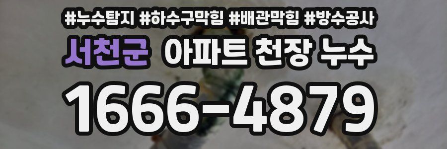 서천군 아파트 천장 누수