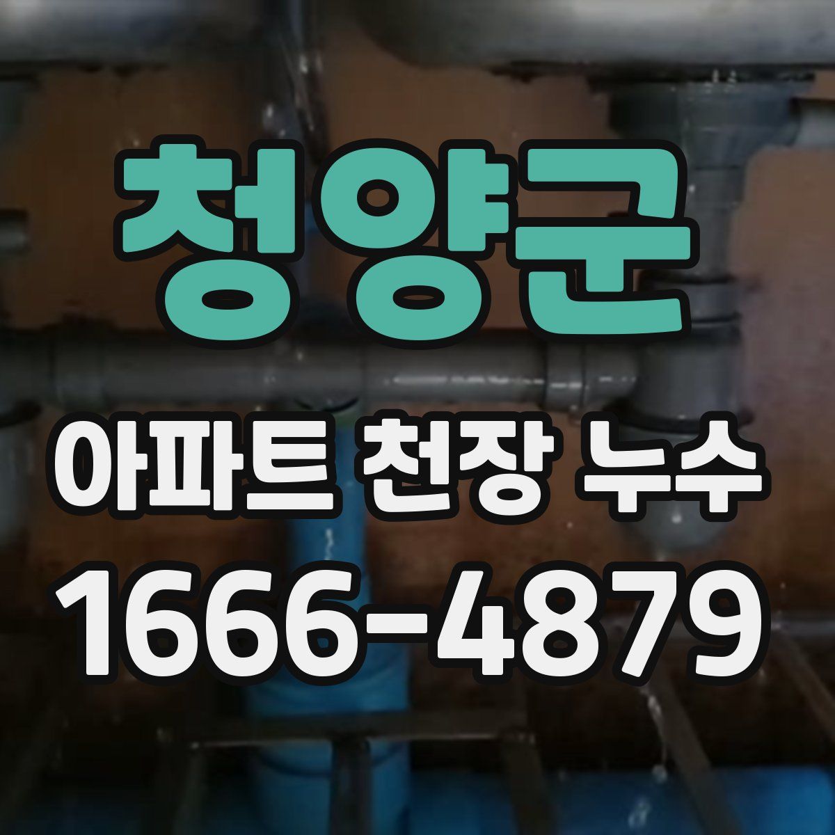 청양군 아파트 천장 누수