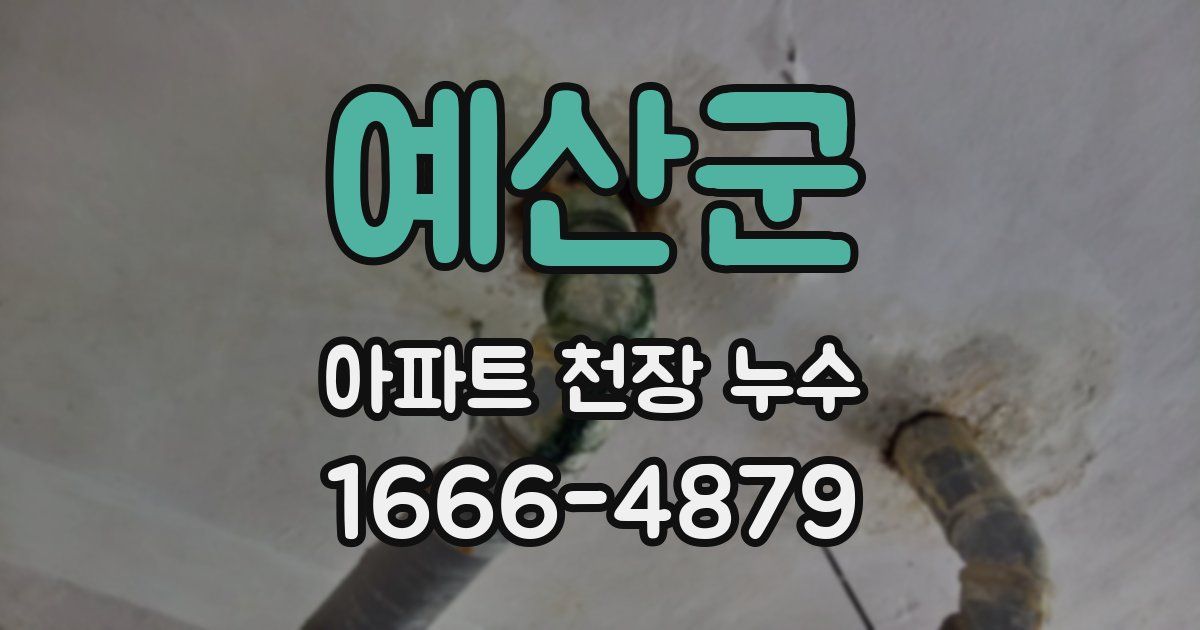 예산군 아파트 천장 누수