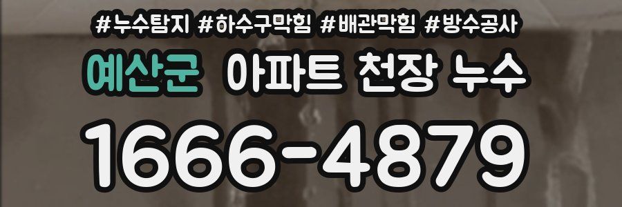 예산군 아파트 천장 누수