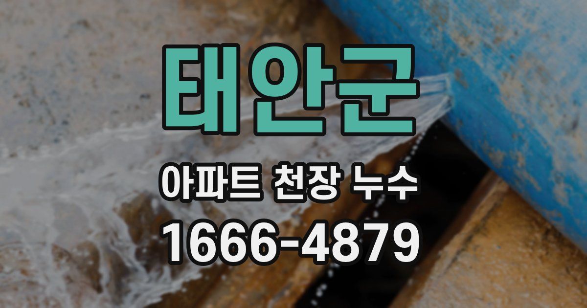 태안군 아파트 천장 누수