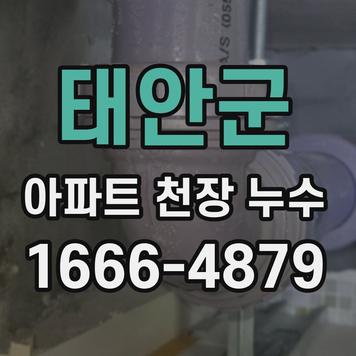 태안군 아파트 천장 누수
