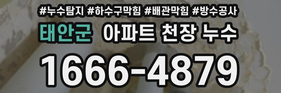 태안군 아파트 천장 누수