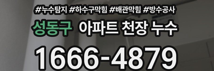 성동구 아파트 천장 누수