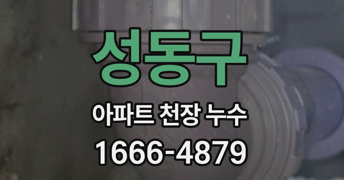성동구 아파트 천장 누수