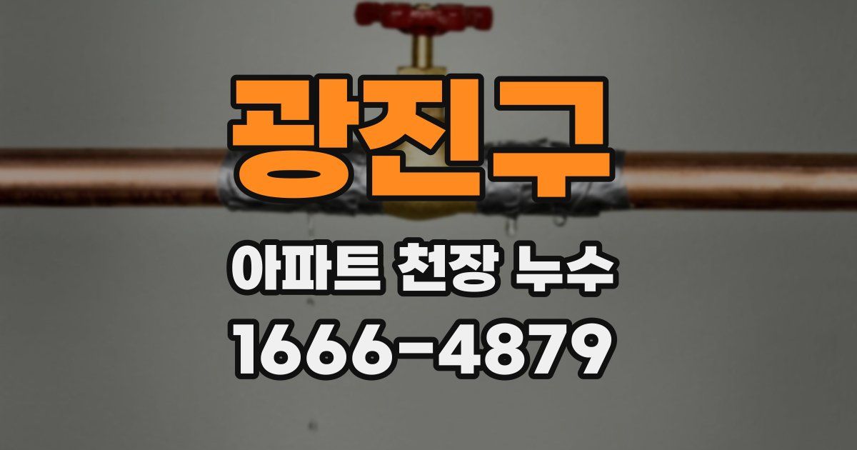 광진구 아파트 천장 누수