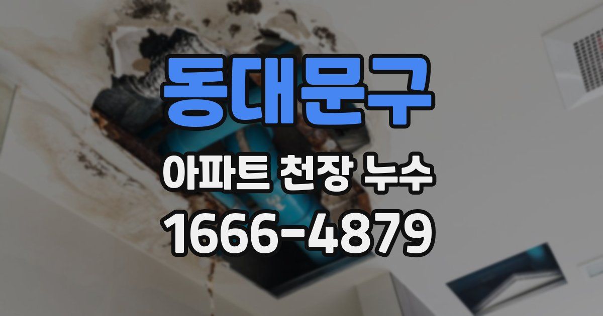 동대문구 아파트 천장 누수