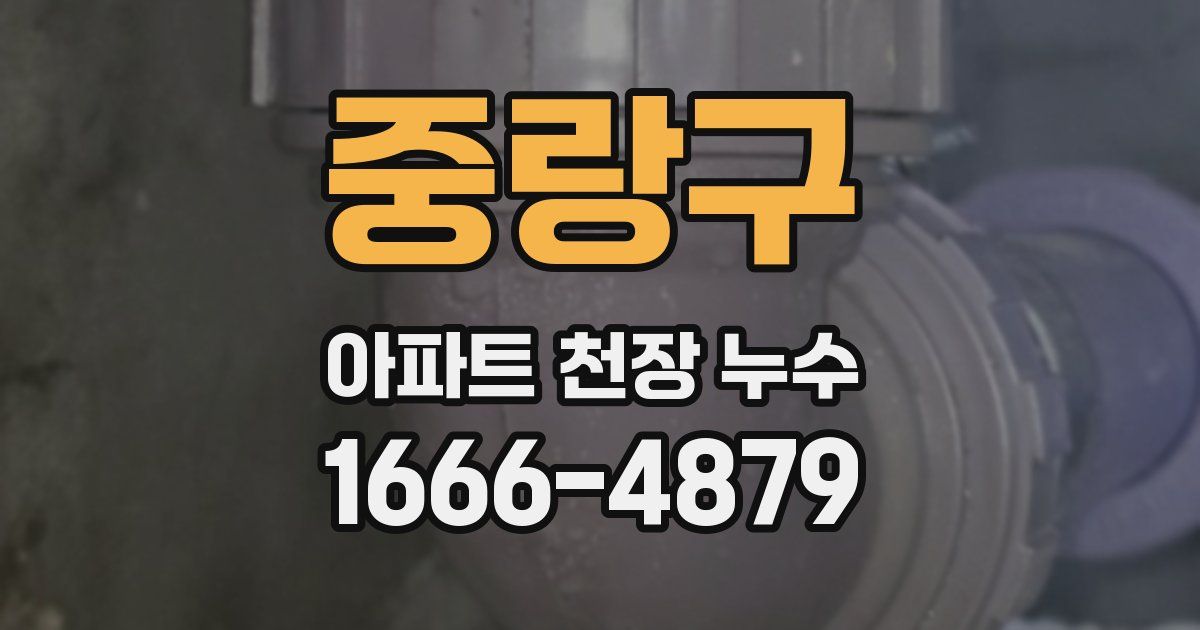 중랑구 아파트 천장 누수