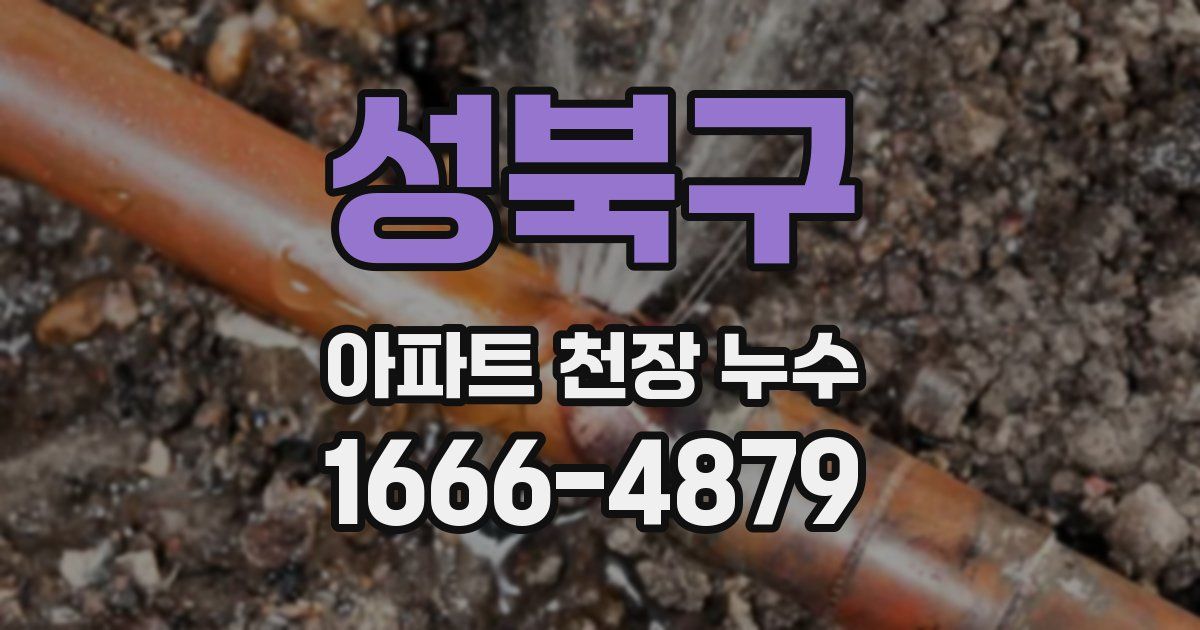 성북구 아파트 천장 누수