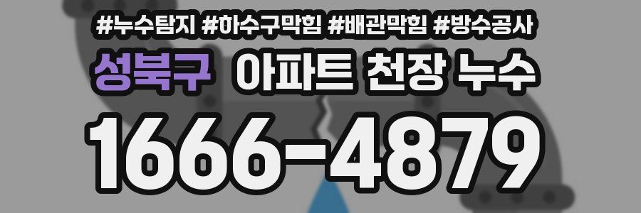 성북구 아파트 천장 누수