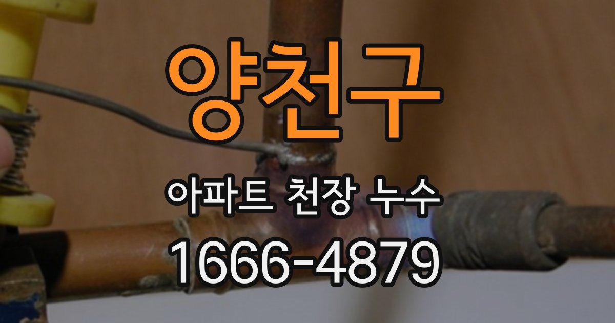 양천구 아파트 천장 누수