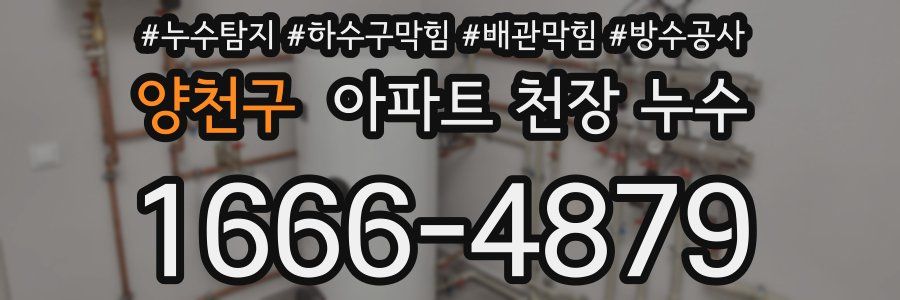 양천구 아파트 천장 누수