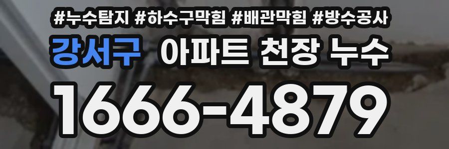 강서구 아파트 천장 누수
