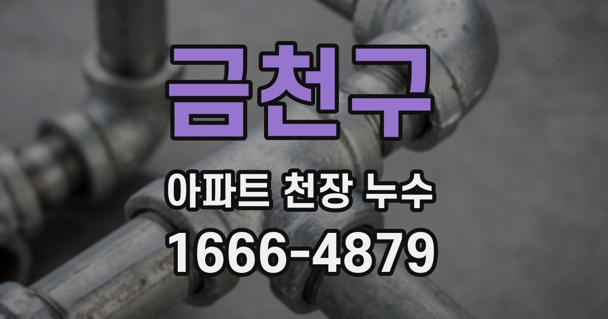 금천구 아파트 천장 누수
