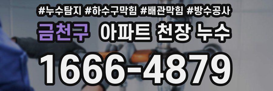 금천구 아파트 천장 누수