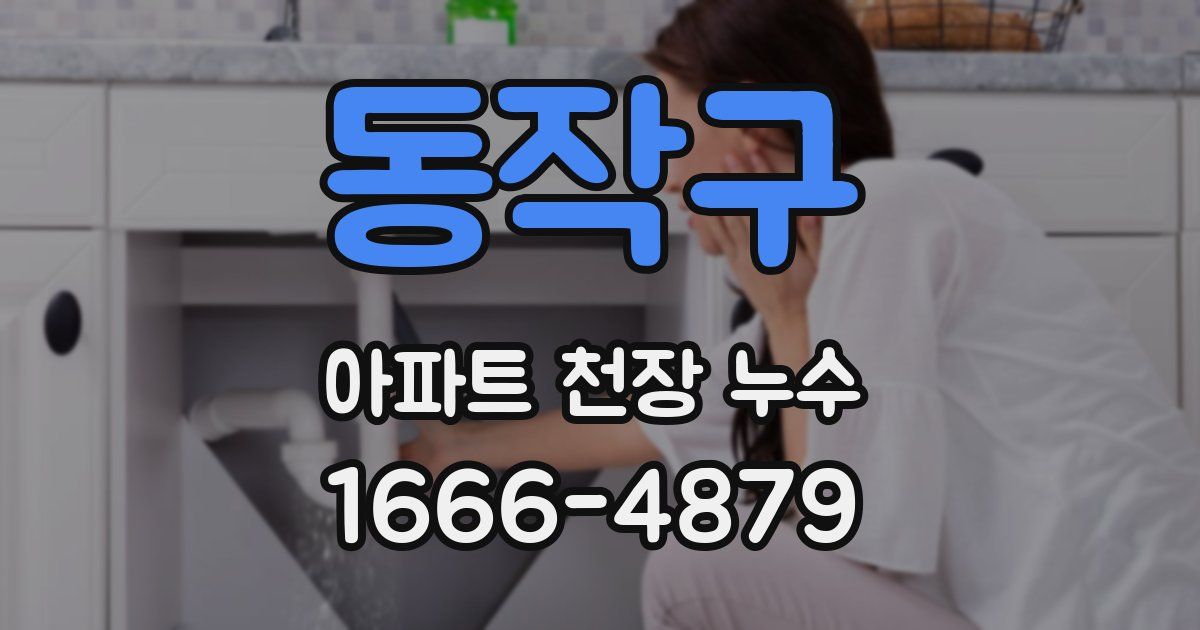 동작구 아파트 천장 누수