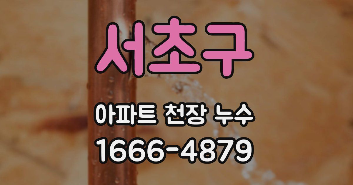 서초구 아파트 천장 누수