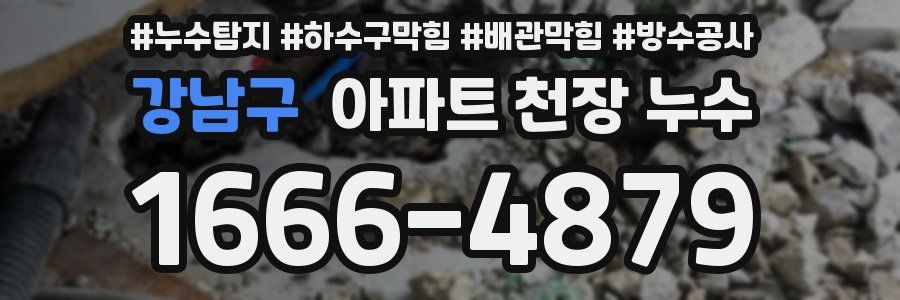 강남구 아파트 천장 누수