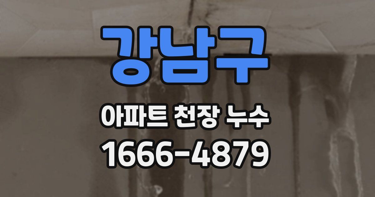 강남구 아파트 천장 누수