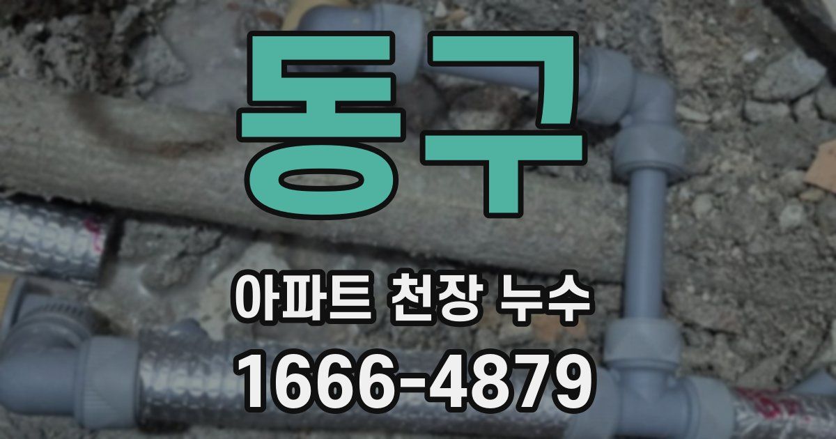 동구 아파트 천장 누수