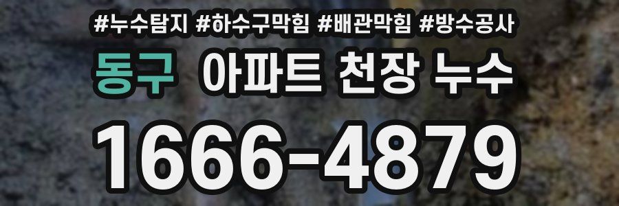동구 아파트 천장 누수