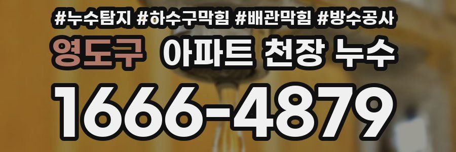 영도구 아파트 천장 누수