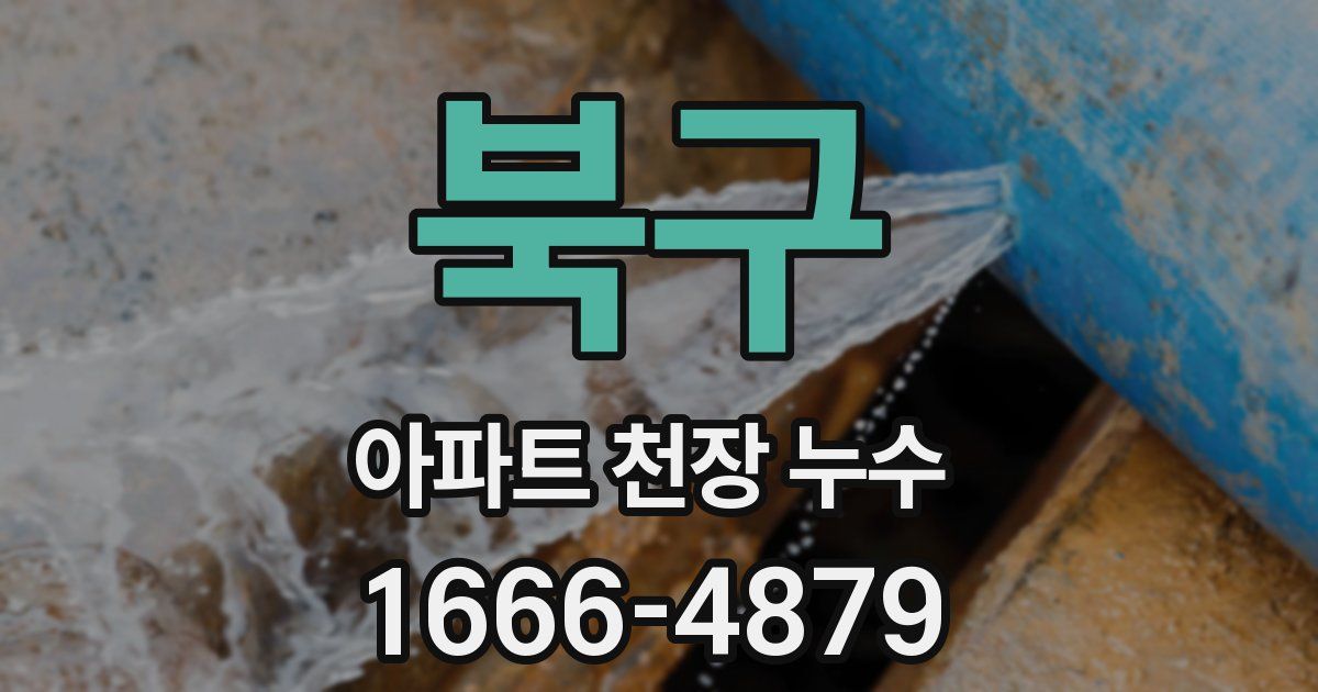 북구 아파트 천장 누수