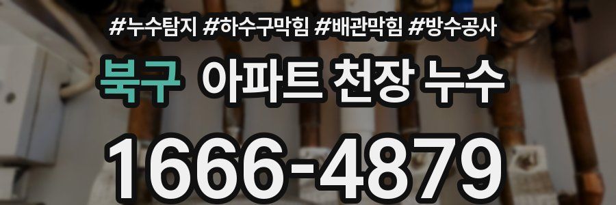 북구 아파트 천장 누수