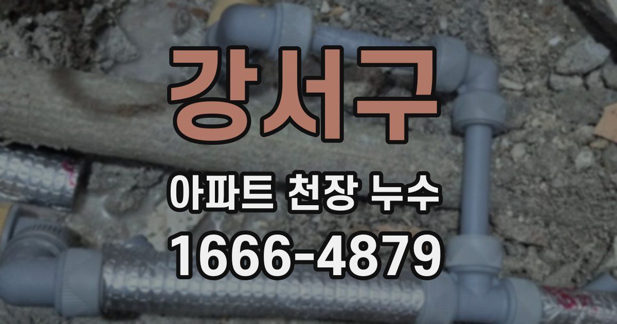 강서구 아파트 천장 누수