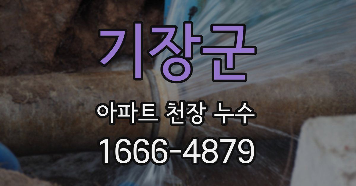 기장군 아파트 천장 누수
