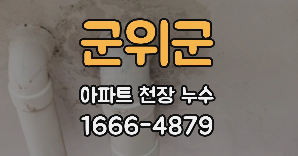 군위군 아파트 천장 누수