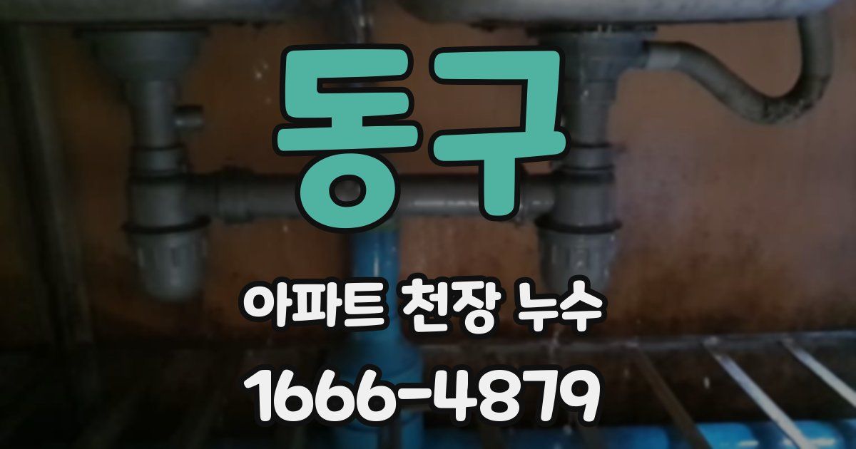 동구 아파트 천장 누수