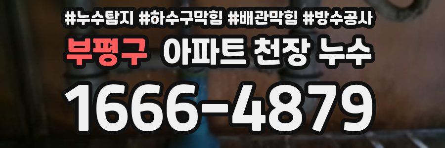 부평구 아파트 천장 누수