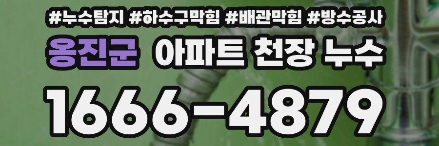 옹진군 아파트 천장 누수