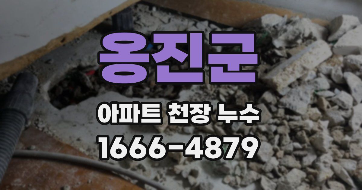 옹진군 아파트 천장 누수
