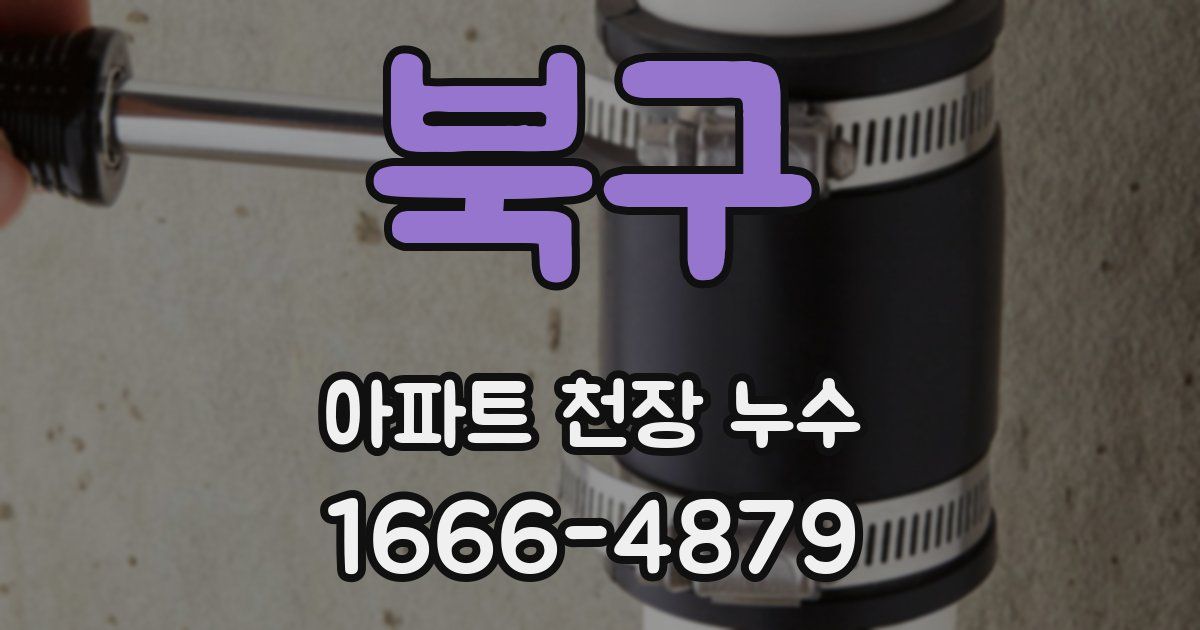 북구 아파트 천장 누수