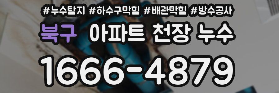 북구 아파트 천장 누수