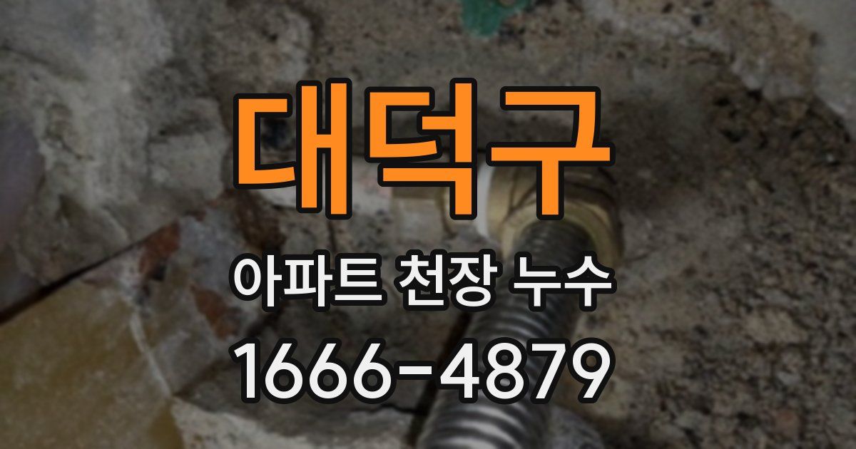 대덕구 아파트 천장 누수