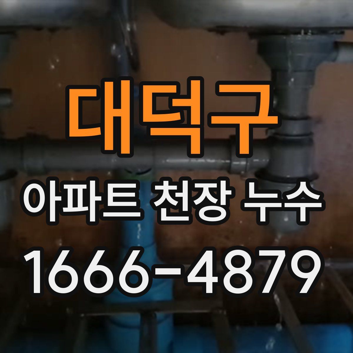대덕구 아파트 천장 누수