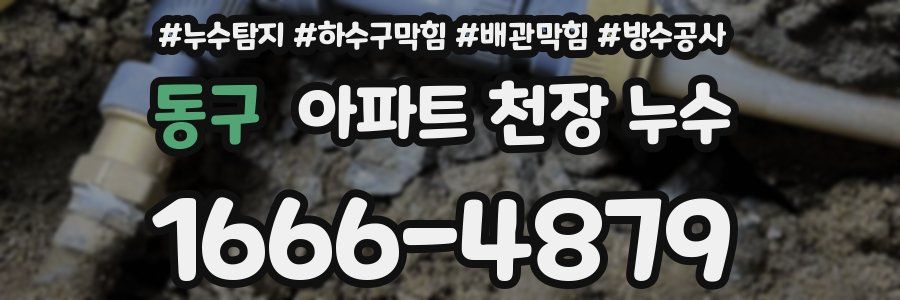 동구 아파트 천장 누수